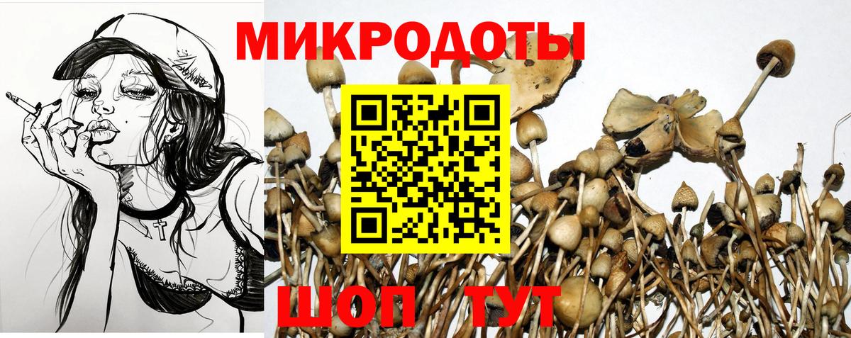 Галлюциногенные грибы ЛСД  Вход с VPN  Оренбург 